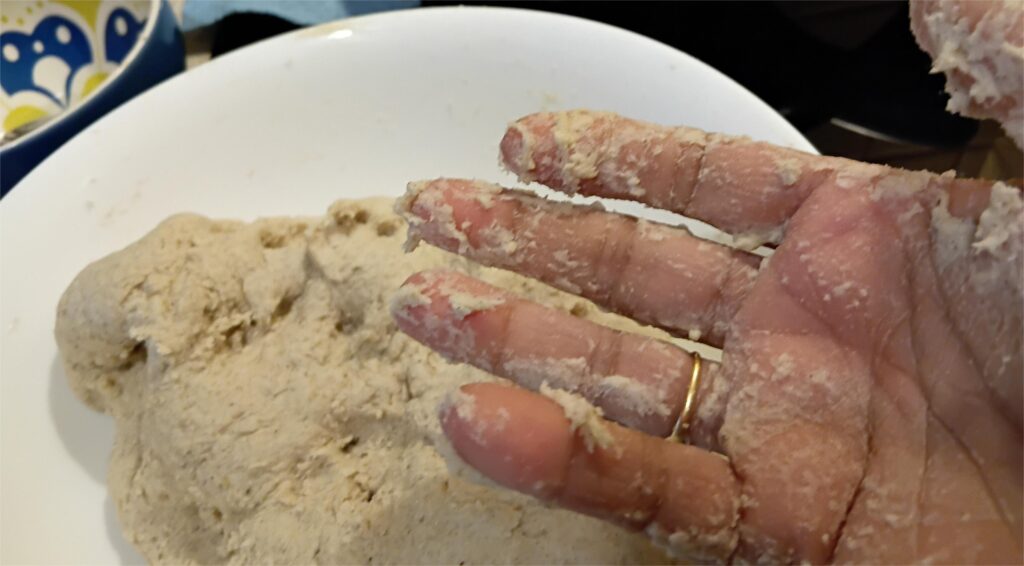 jowar 1 1 | Gluten Free Sorghum/Jowar flour Bread
