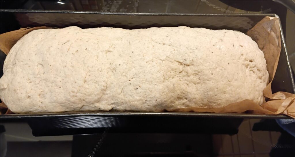 jowar 3 1 | Gluten Free Sorghum/Jowar flour Bread